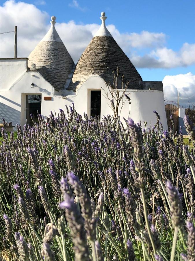 Trullo Trilli Puglia Villa Martina Franca Eksteriør billede