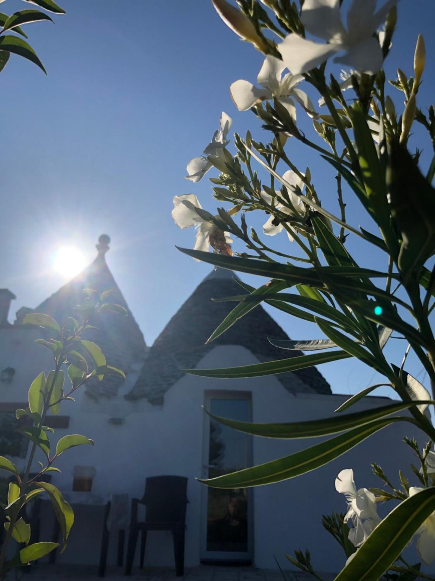 Trullo Trilli Puglia Villa Martina Franca Eksteriør billede