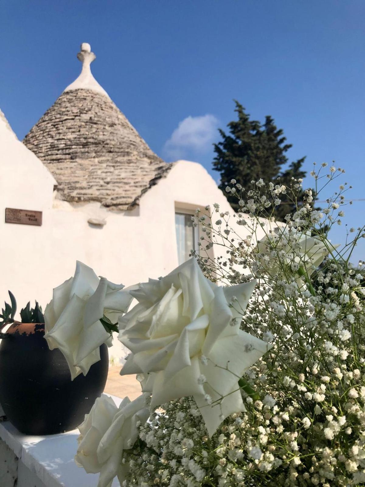 Trullo Trilli Puglia Villa Martina Franca Eksteriør billede