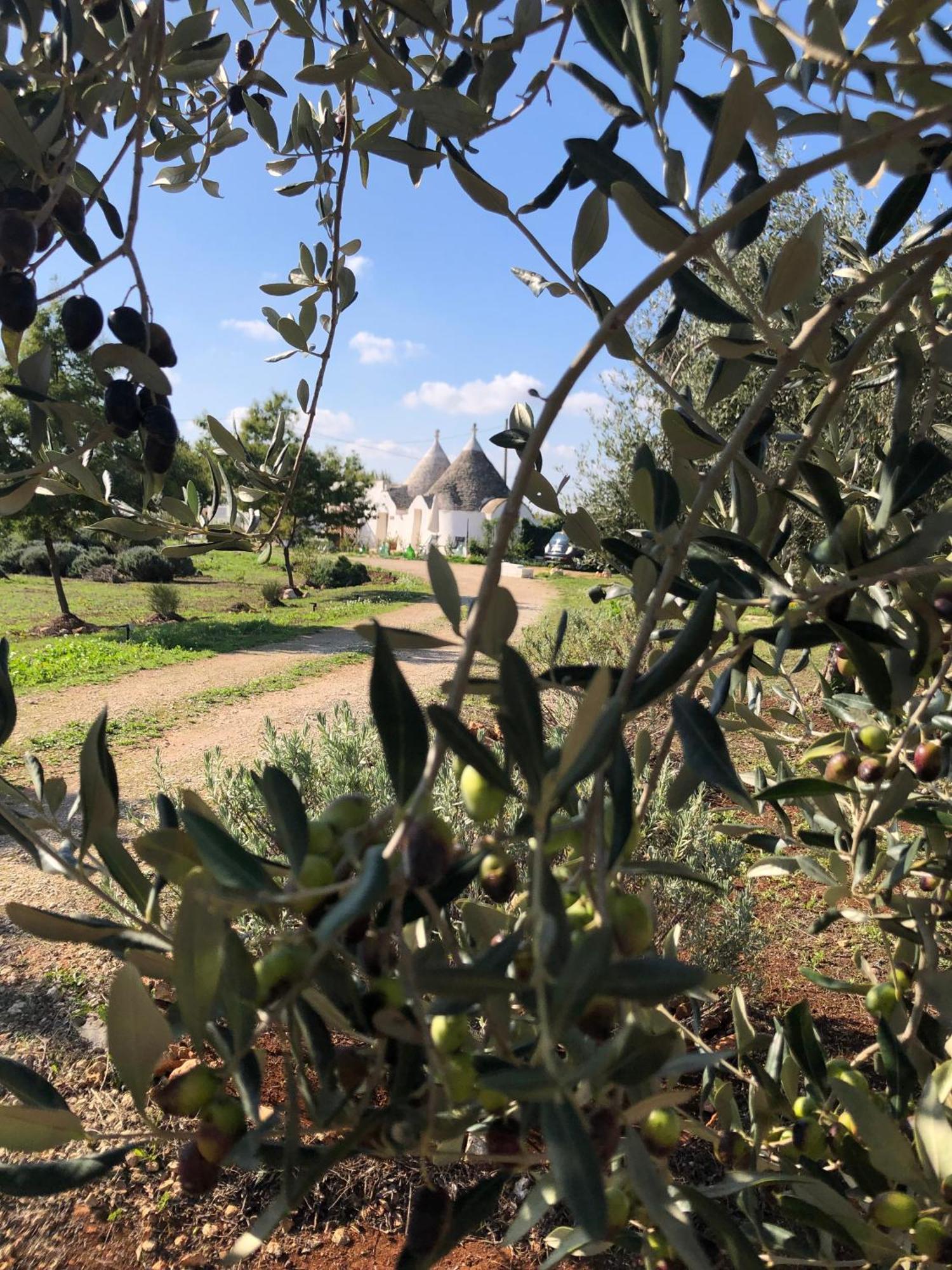 Trullo Trilli Puglia Villa Martina Franca Eksteriør billede