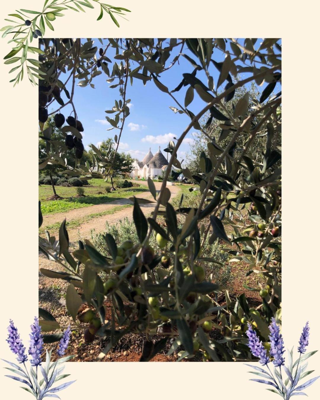 Trullo Trilli Puglia Villa Martina Franca Eksteriør billede